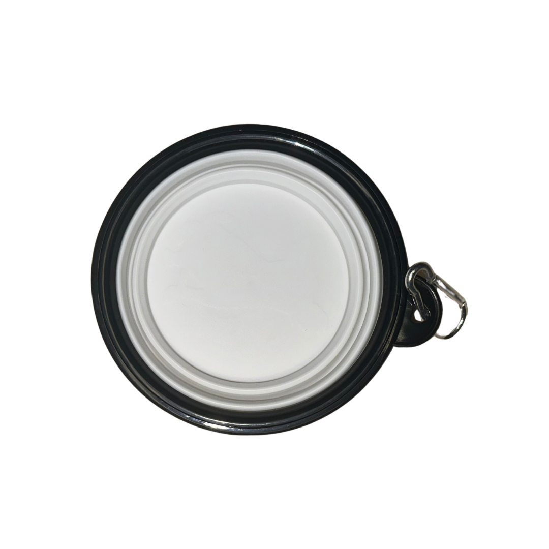 Collapsible Reusable Bowl