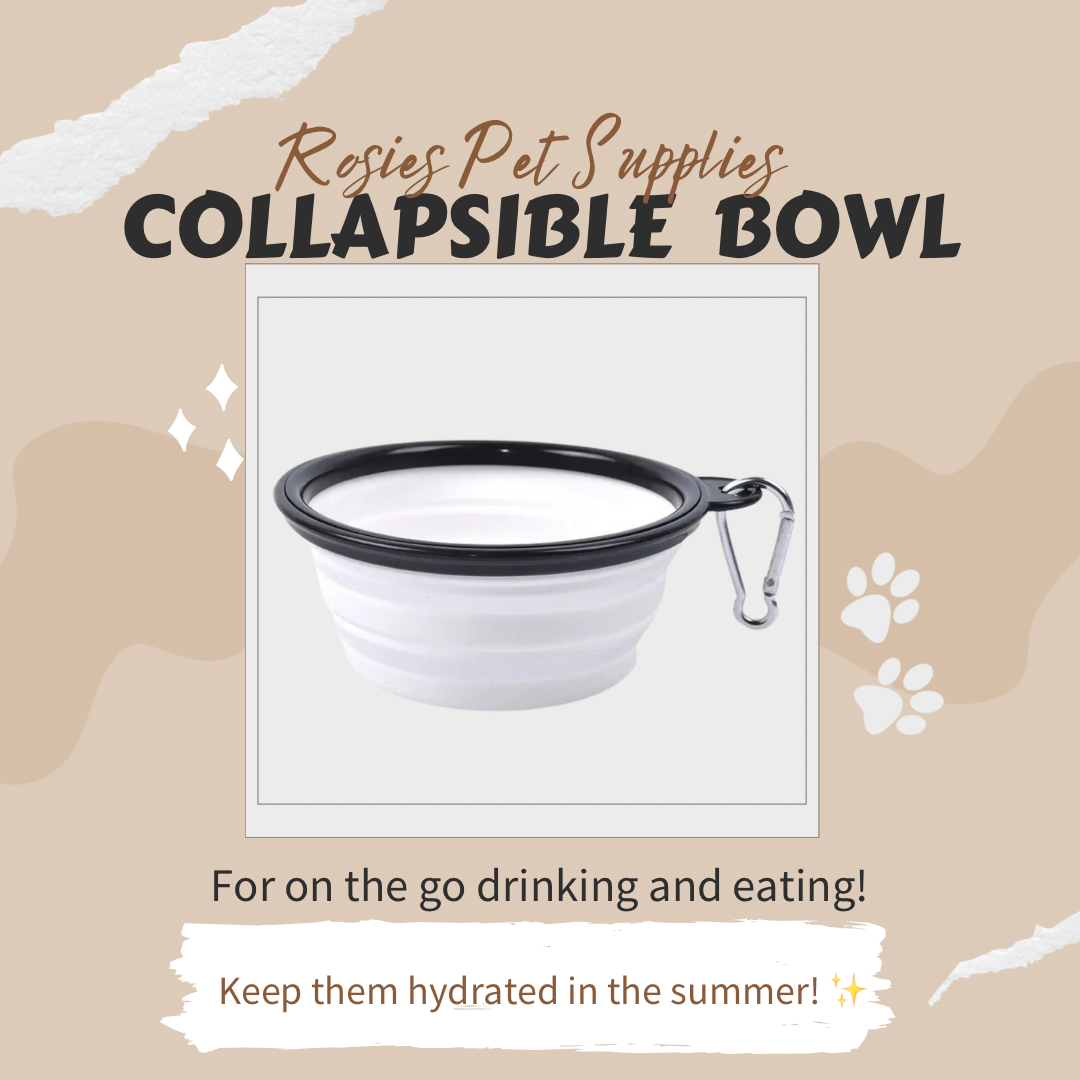 Collapsible Reusable Bowl