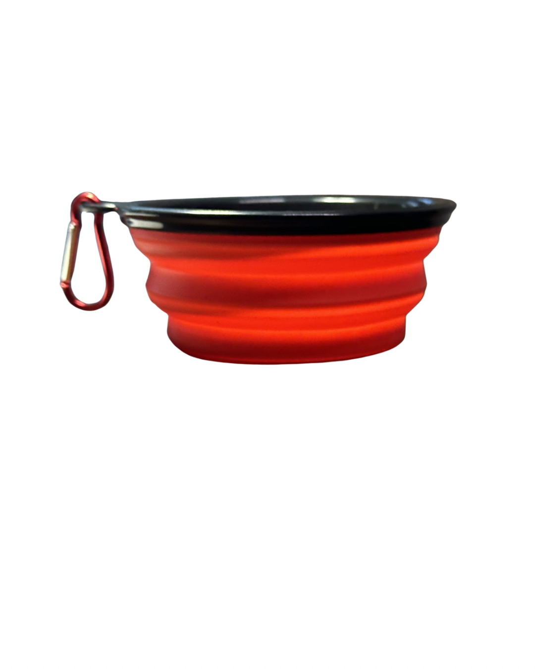 Collapsible Reusable Bowl