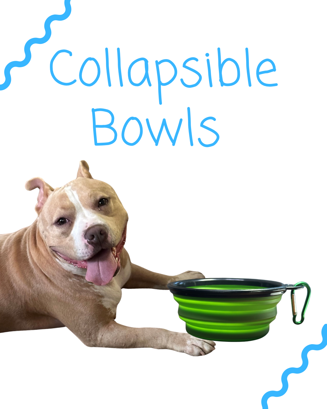 Collapsible Reusable Bowl
